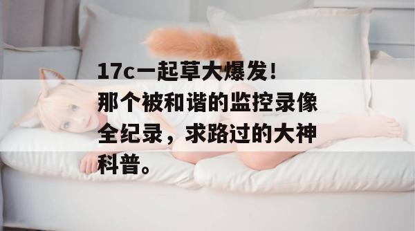 17c一起草大爆发！那个被和谐的监控录像全纪录，求路过的大神科普。